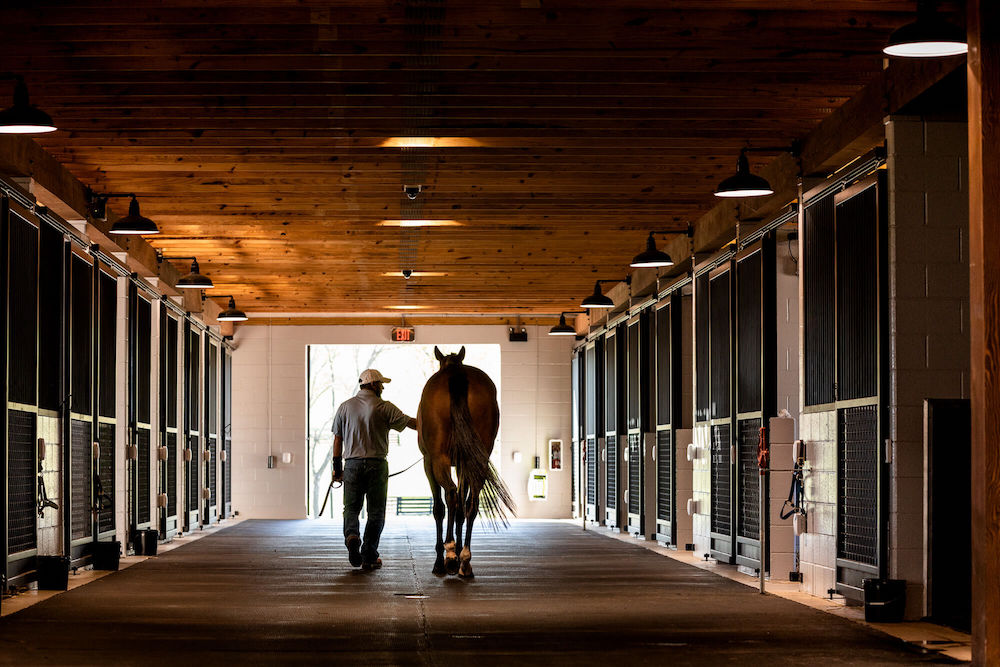 We know horses are exceptional animals & it is a privilege & responsibility to undertake the care of your horse.