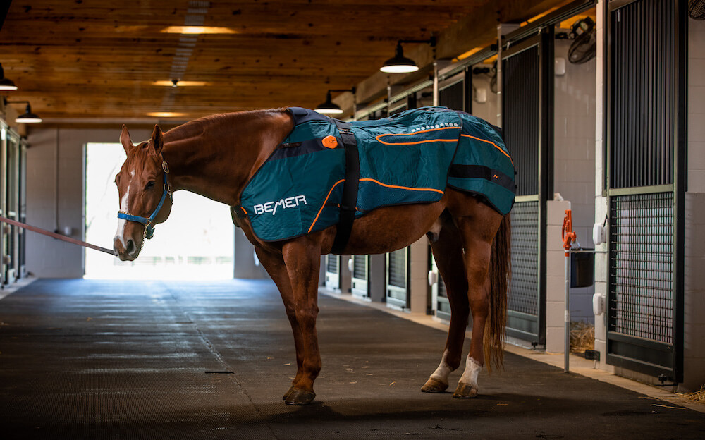 Foxhall Equine uses the Bemer Blanket as an effective therapy to promote healing, recovery and tissue regeneration.