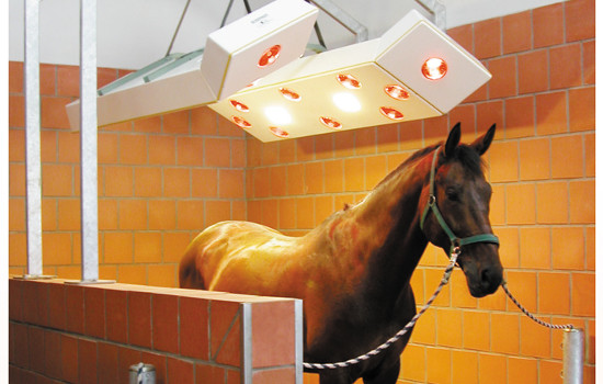 Equine solariums are used for pre-exercise warmup & muscle loosening. Relaxation will improve performance & reduce injury.
